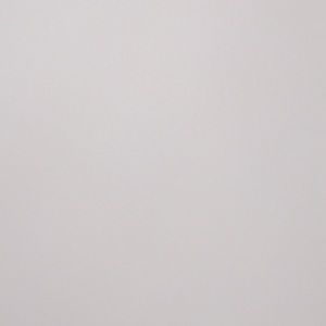 Meet your Posher, Thalia